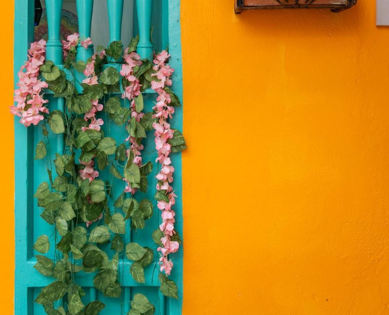Bed and breakfast Casa Renacer