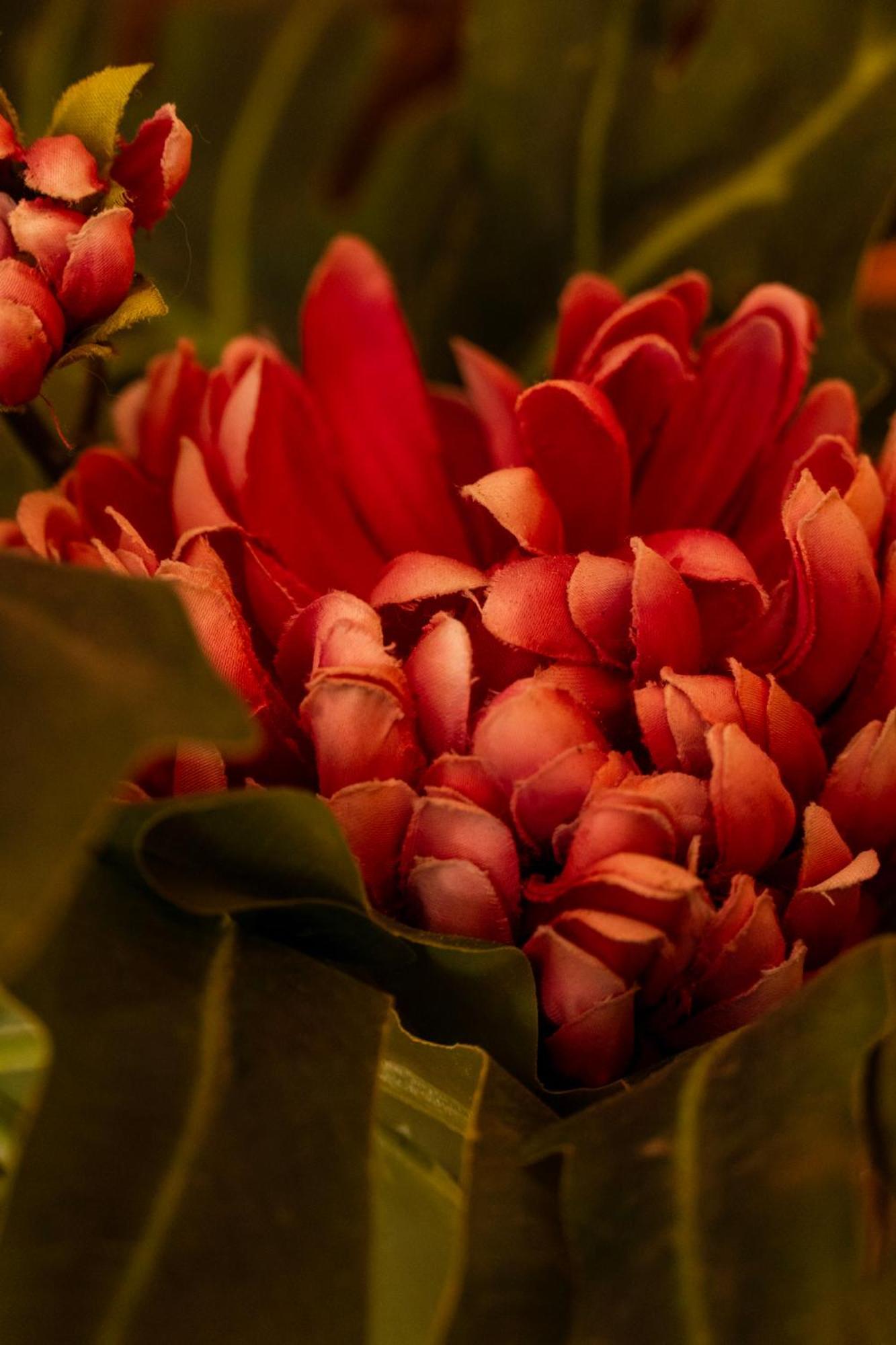 Casa Renacer Bed and breakfast 3*