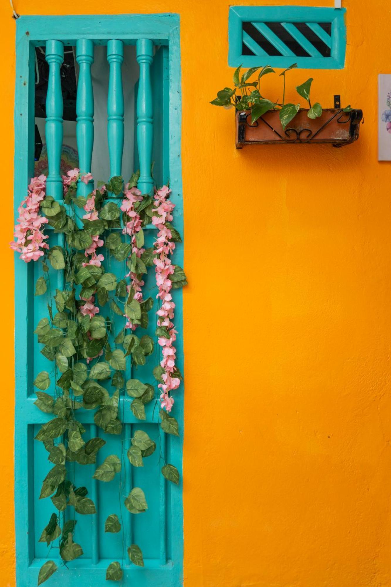 Bed and breakfast Casa Renacer