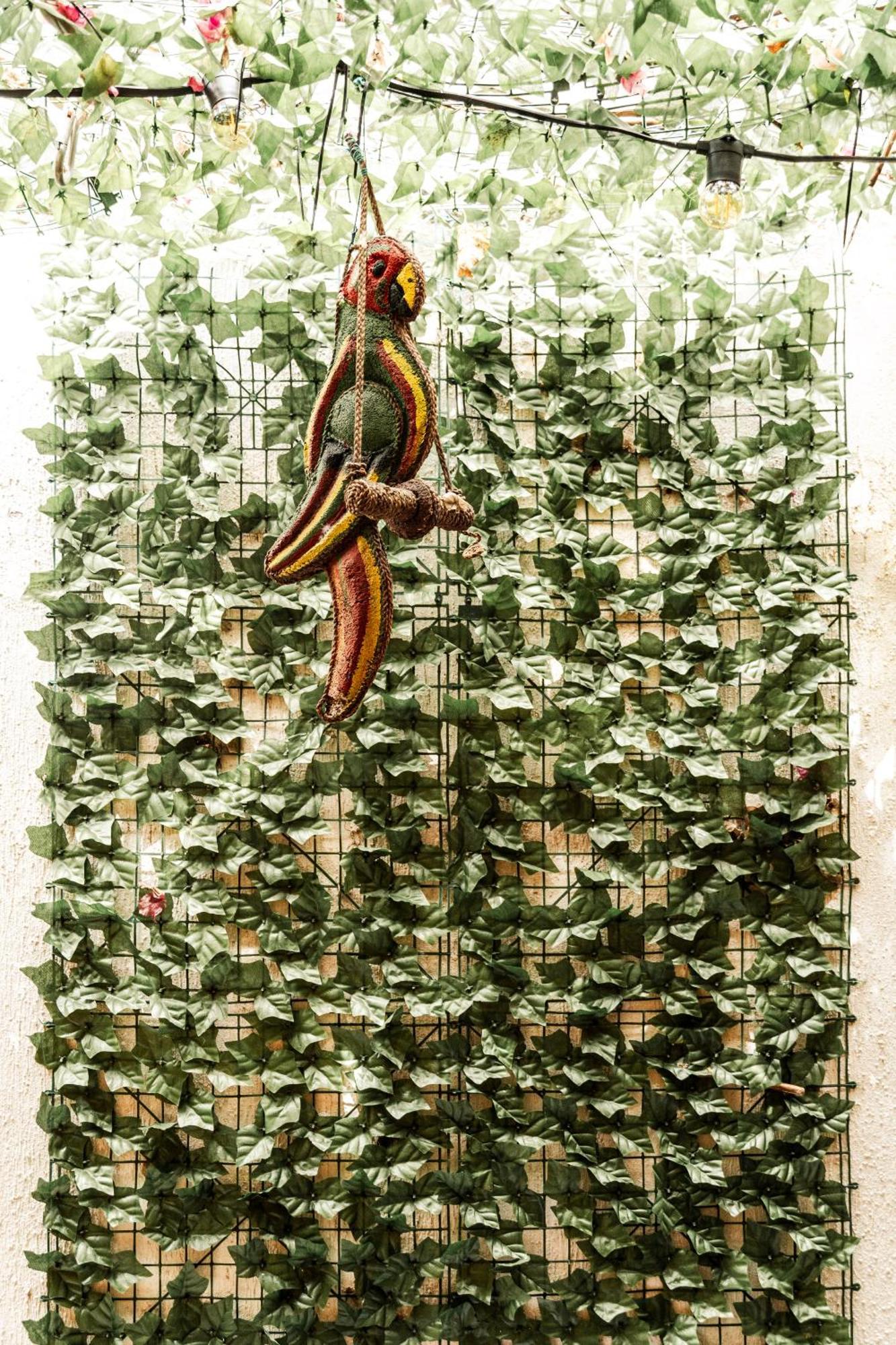 Bed and breakfast Casa Renacer