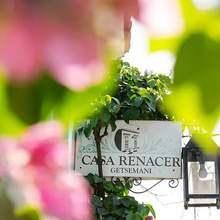 Casa Renacer Bed & Breakfast