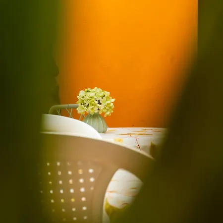 Casa Renacer Bed & Breakfast 3*