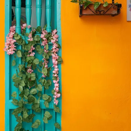 Bed & Breakfast Casa Renacer